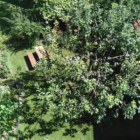 Kapus Center Appartement