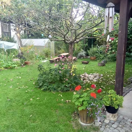 Kapus Center * בלד