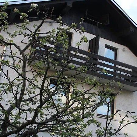 Kapus Center Apartamento