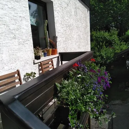 Kapus Center דירה *