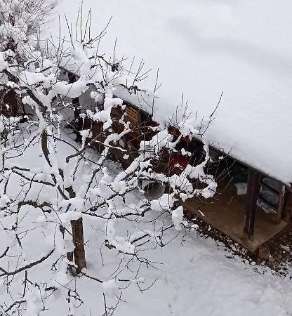 Kapus Center * בלד