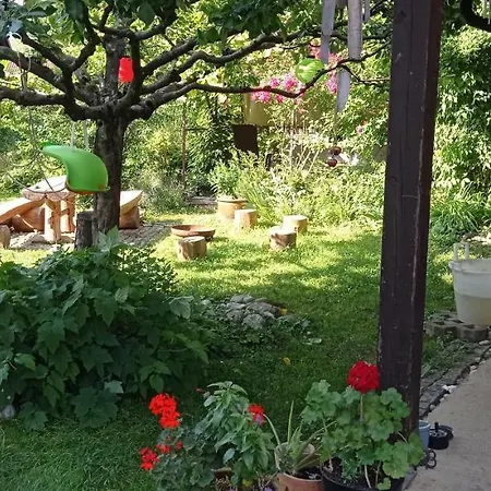 Apartman Kapus Center *