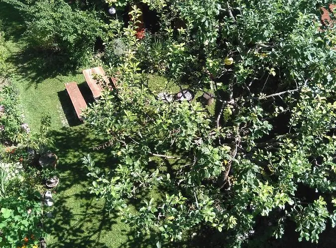 Kapus Center Appartamento