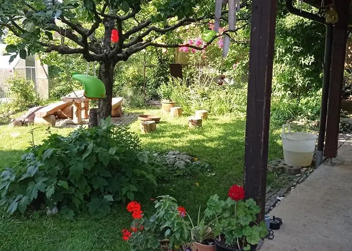 Apartma Kapus Center *